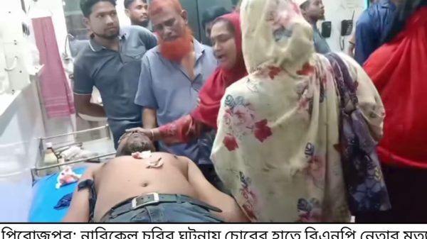 ভাণ্ডারিয়ায় নারিকেল চুরি নিয়ে বিরোধে একজন নিহত