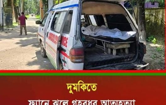 দুমকি উপজেলার গরবদীতে, ফ্যানে ঝুলে ১ বাচচার মায়ের আত্মহত্যা