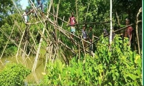 দুমকি উপজেলার মুরাদীয়ায়, নড়বড়ে বাঁশের সাঁকোতে ঝুঁকিপূর্ণ পারাপার, দুর্ঘটনার শঙ্কা!