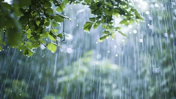 সব বিভাগে বৃষ্টি হবে, তাপমাত্রা কমবে ২ ডিগ্রি